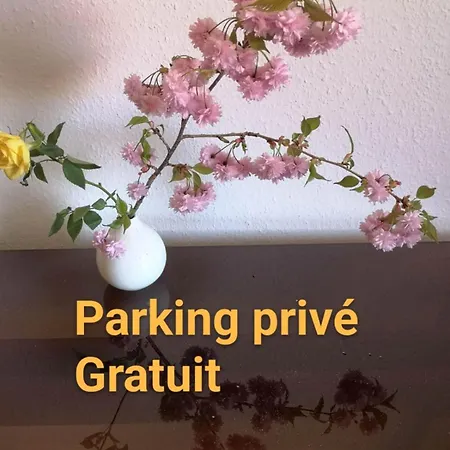 公寓 Zen Center Avec Parking *
