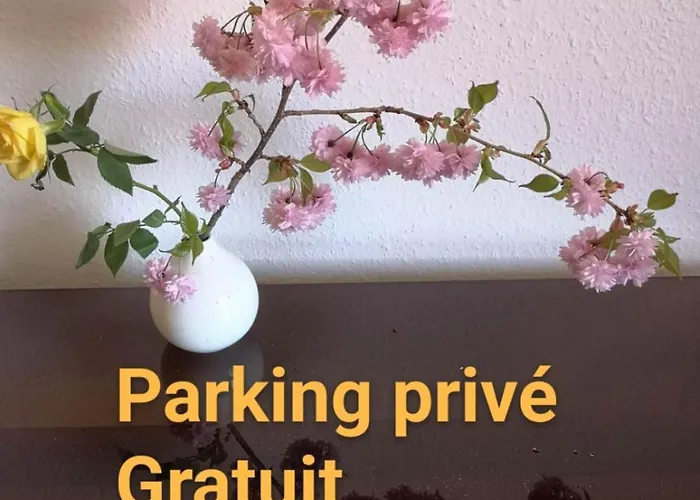 公寓 Zen Center Avec Parking *